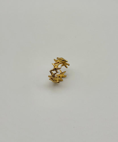Anello starfish