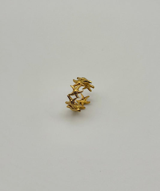 Anello starfish