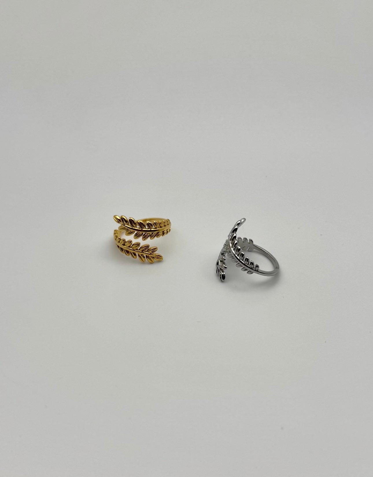 Anello amazzonia