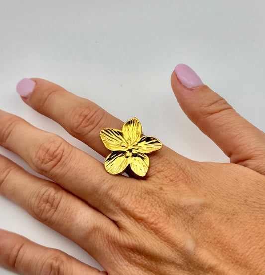 Anello frangipane