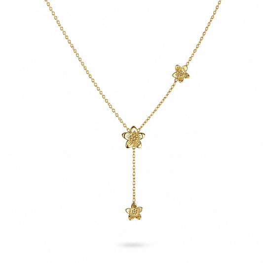 Collana Gili