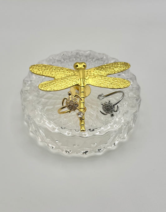 Anello Gili
