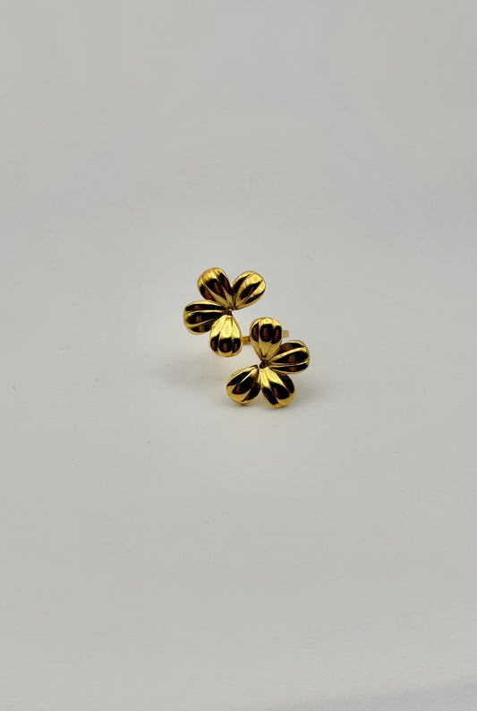Anello 40